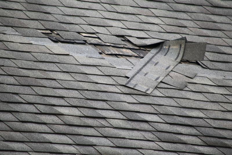 Asphalt Roof Leak Repair in East Liverpool, OH