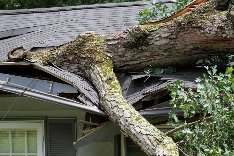 Asphalt Roofing Service in Columbiana County, OH