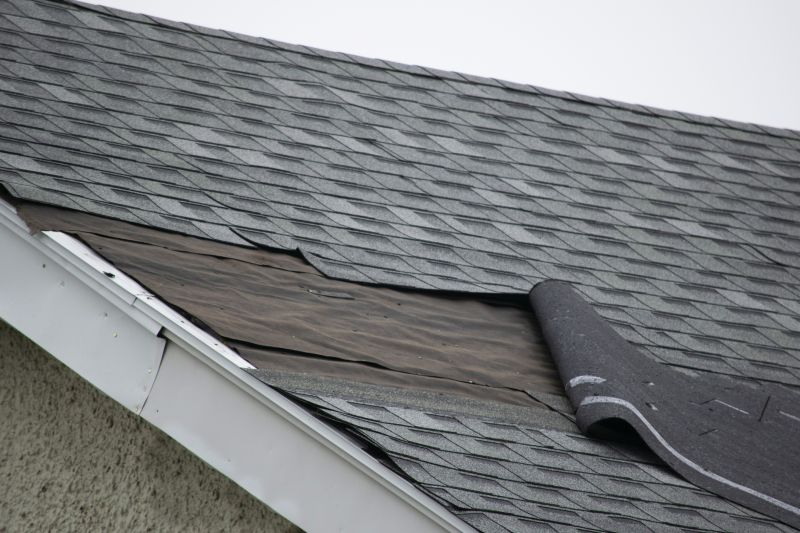 Asphalt Shingles Repair in Deerfield, OH