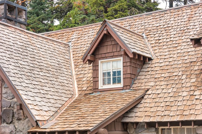 Cedar Shake Roof Repair in Alliance, OH