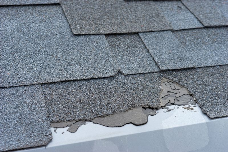 Damaged Roof Repair in Damascus, OH
