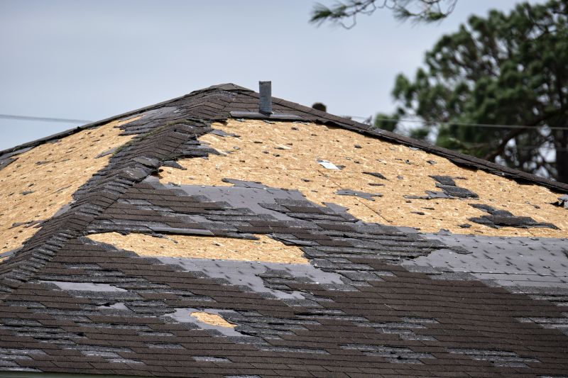Roof Damage Restoration in Alliance, OH