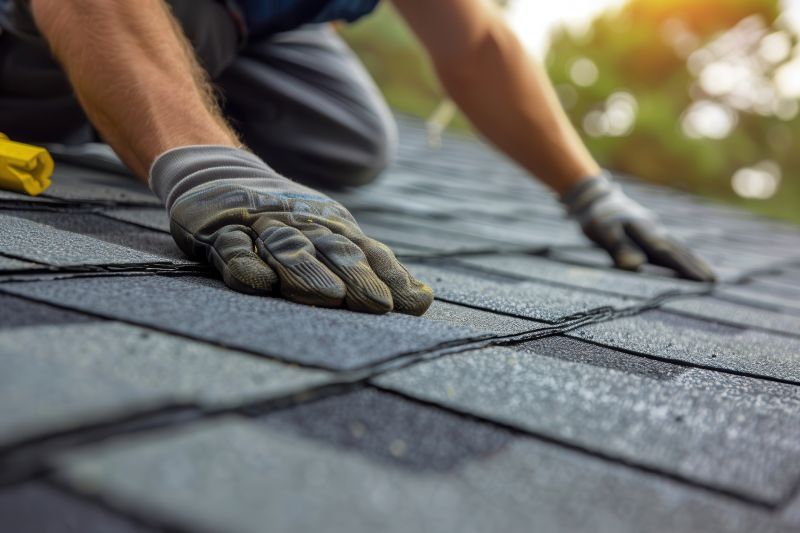 Shingles Repair in Campbell, OH