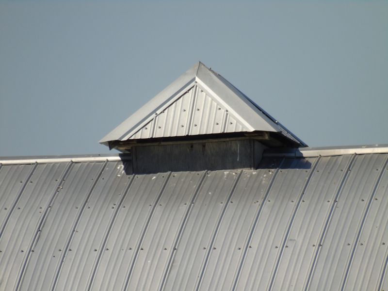 Tin Roof Installation in Struthers, OH